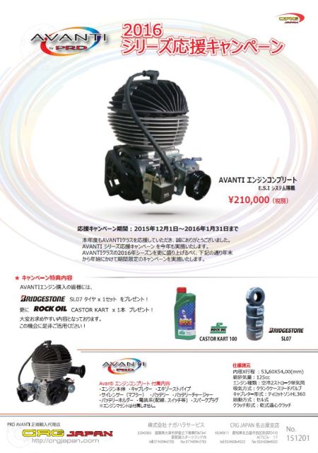 2013_avanti_campaign.jpg
